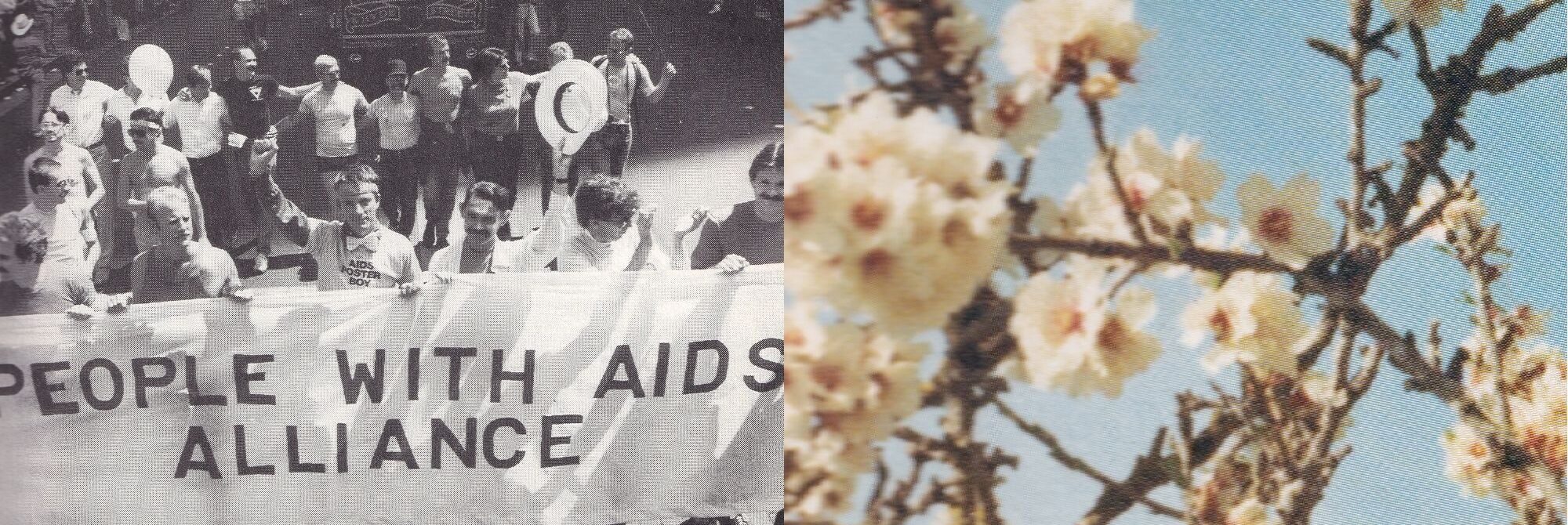 Sort/hvis billede af demonstranter med banner hvorpå der står "PEOPLE WITH AIDS ALLIANCE" + SMYK billede af et blomstret træ