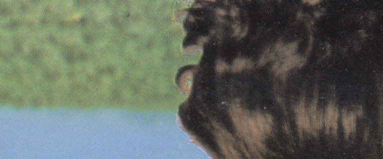 Abstrakt scan blå grøn og et baghoved