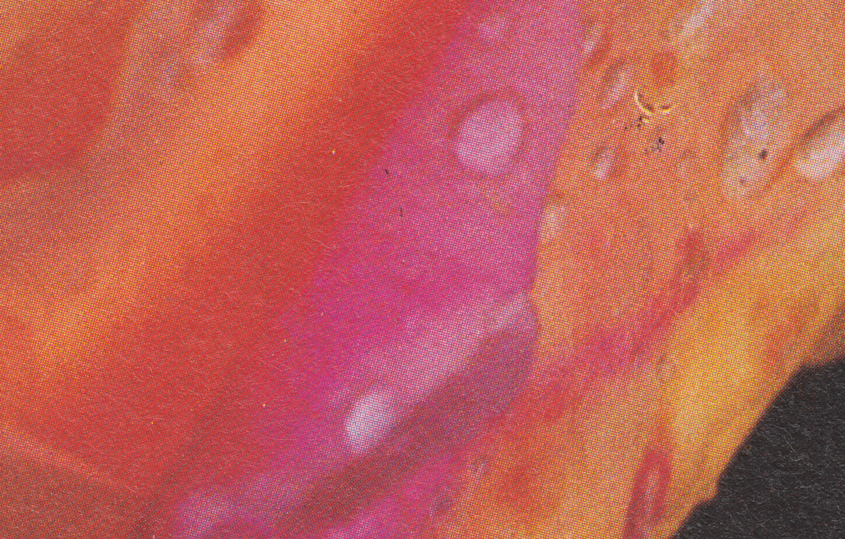 Abstrakt scan af blomsterblade med vanddråber