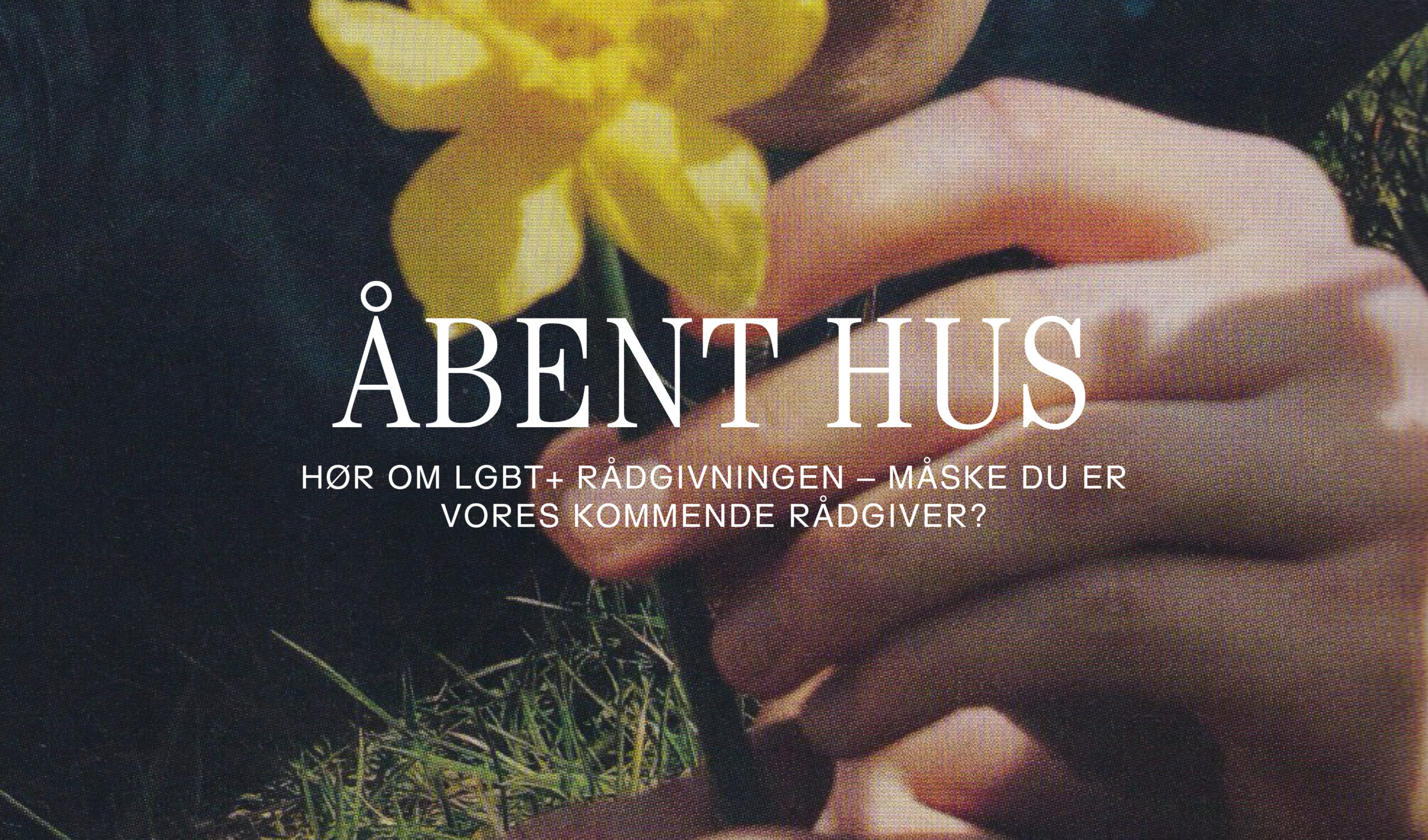 Åbent hus i LGBT+ Rådgivningen i Aarhus